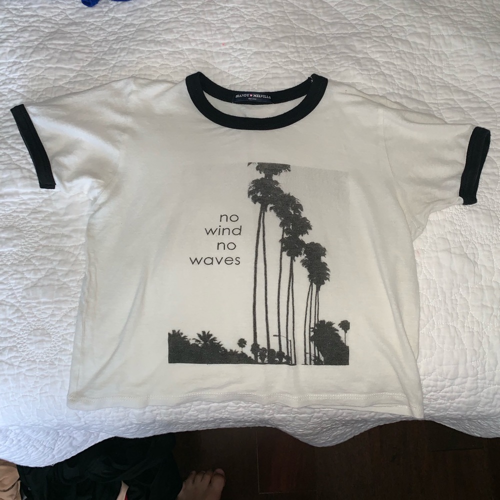brandy melville cropped t-shirt